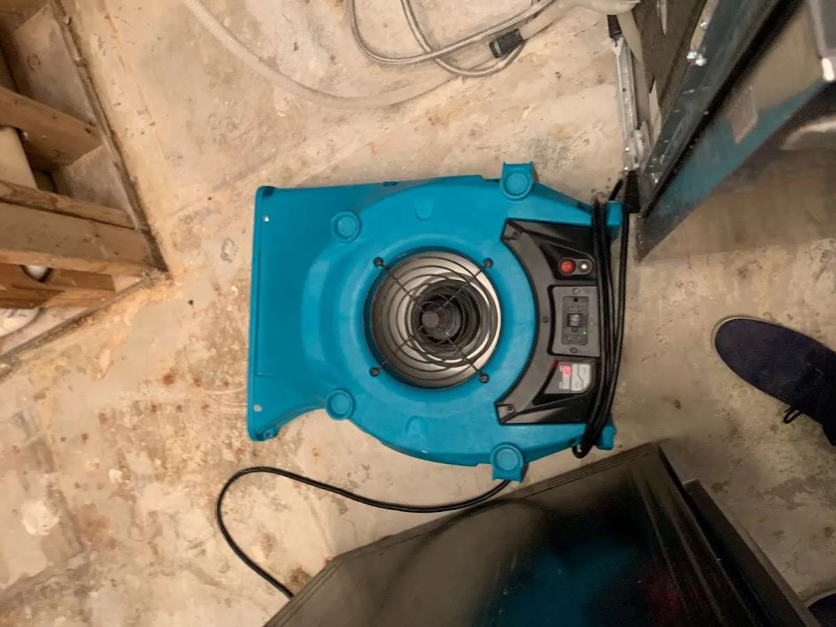 Air mover drying equipment for Mold Remediation & Removal in Prairieville